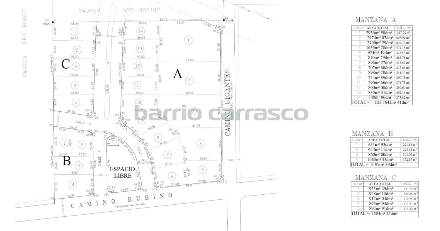 Ombúes Plano