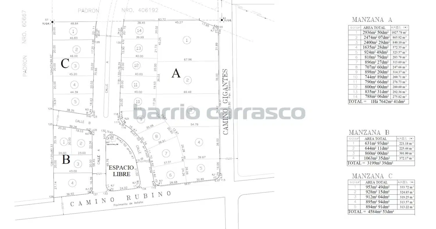 Ombúes Plano