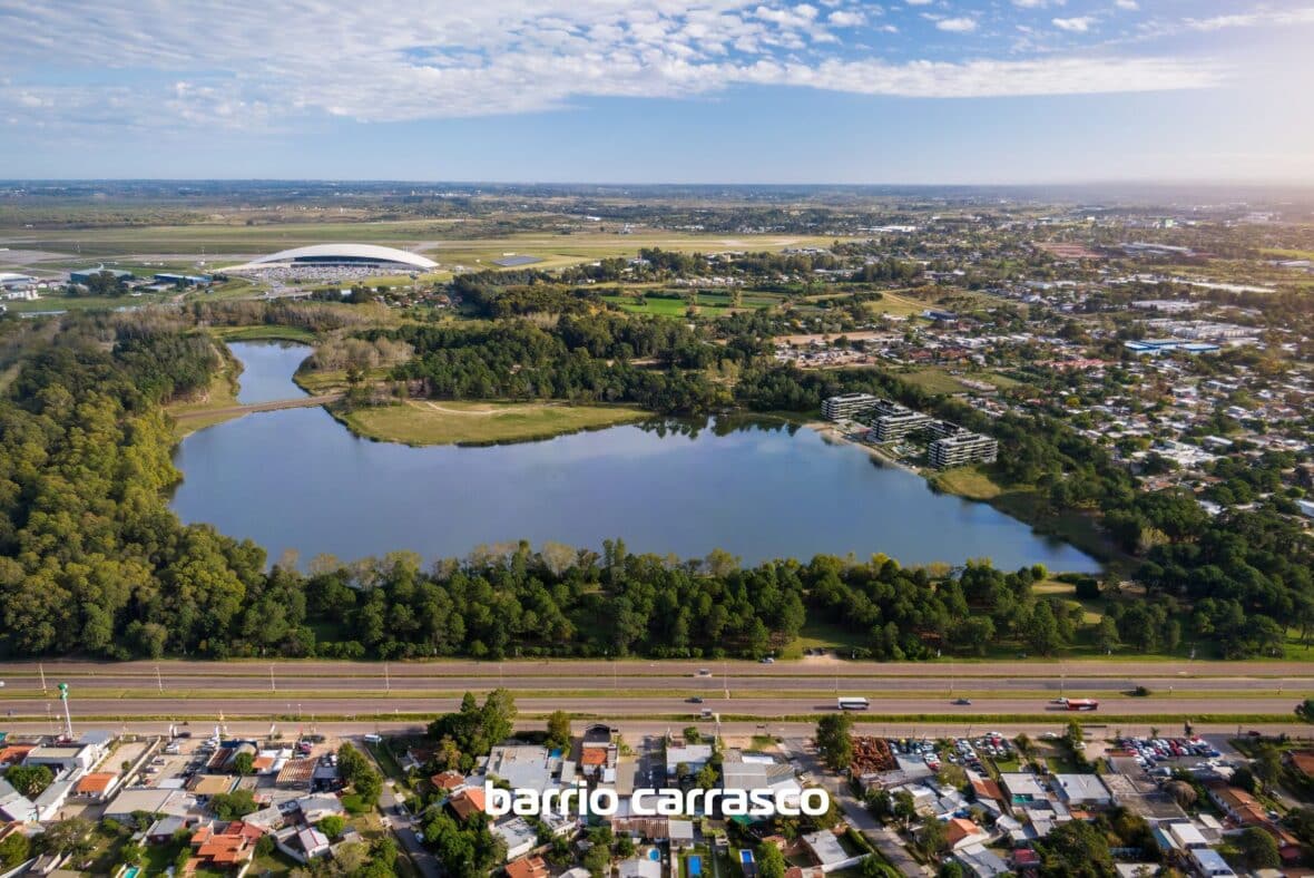 Grou Lagun - Carrasco Este