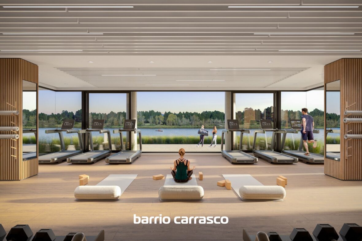 Grou Lagun - Carrasco Este