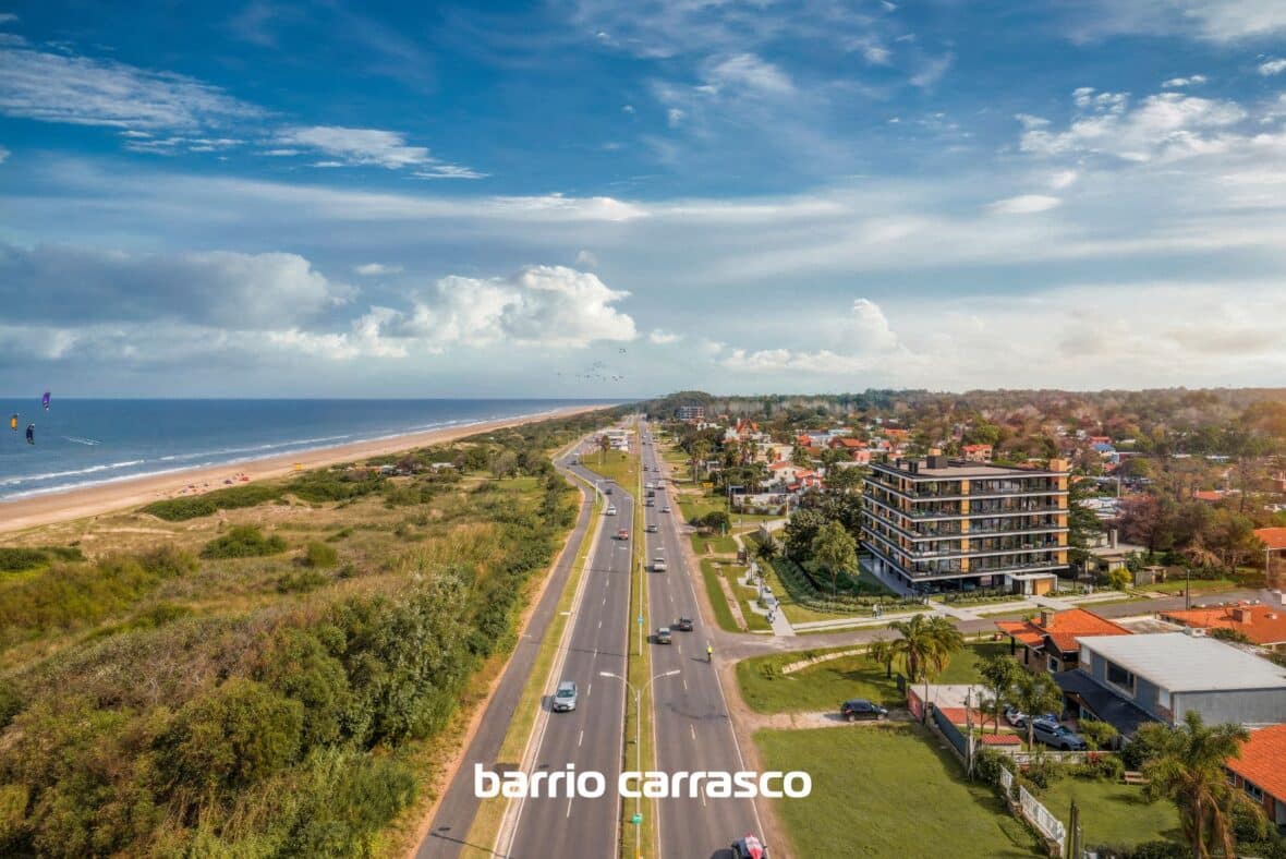 Grou Orillas - Parque Carrasco