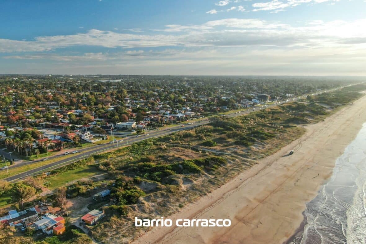 Grou Orillas - Parque Carrasco
