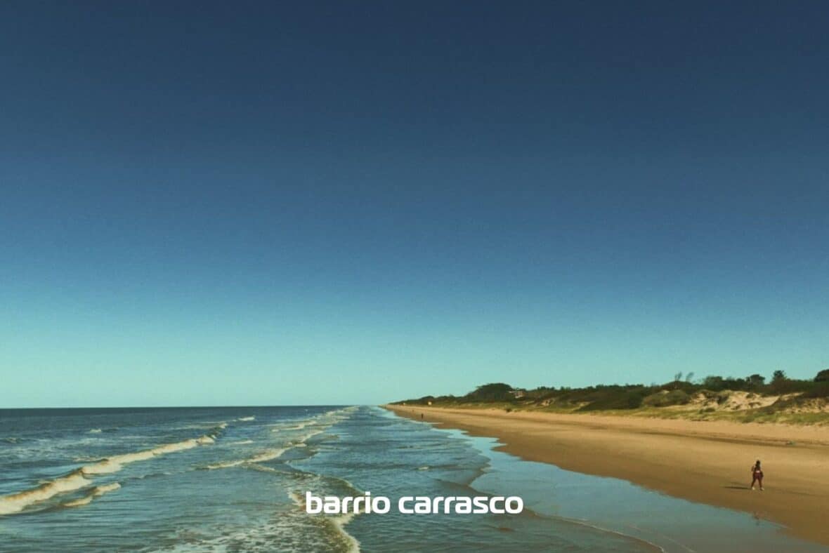 Grou Orillas - Parque Carrasco