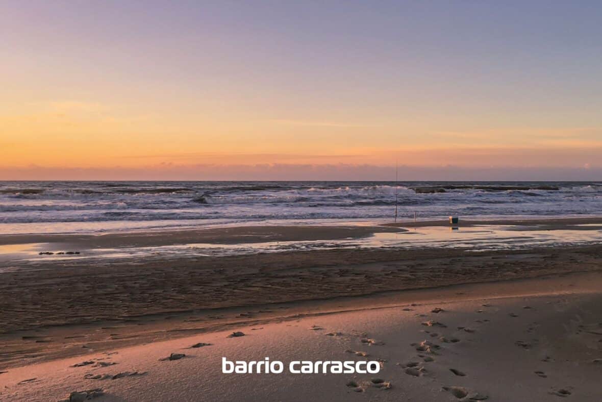 Grou Orillas - Parque Carrasco