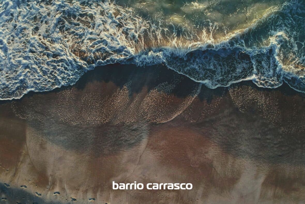 Grou Orillas - Parque Carrasco