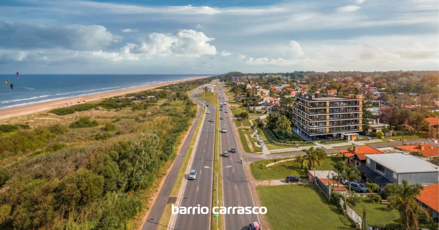 Grou Orillas Parque Carrasco