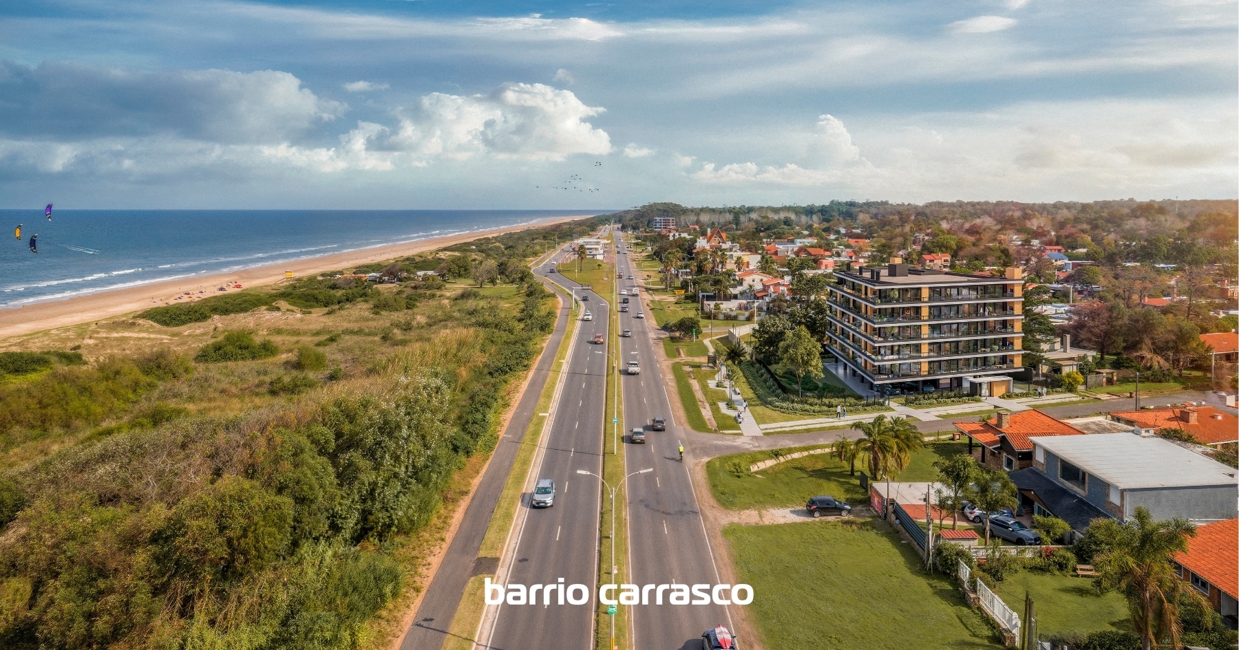 Grou Orillas Parque Carrasco