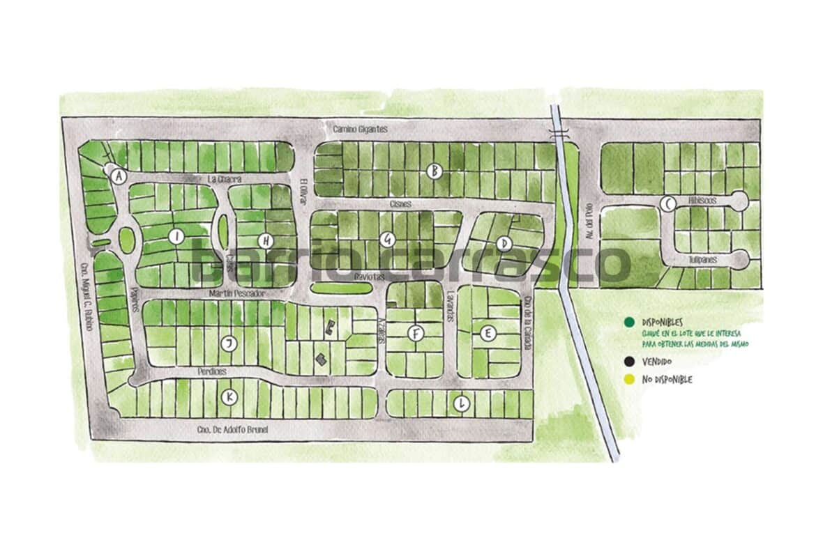 Plano Los Olivos Barrio Carrasco